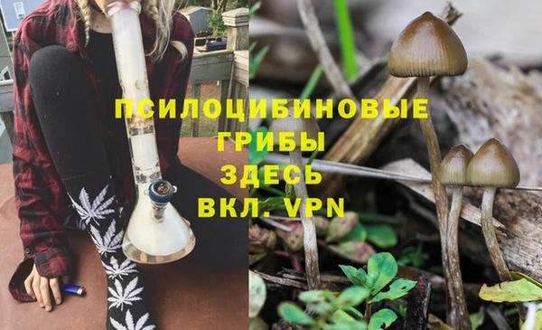 прущие крисы Мегион